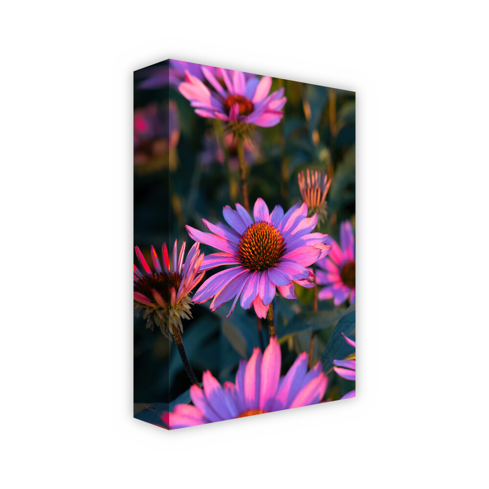 Gallery-wrapped canvas print