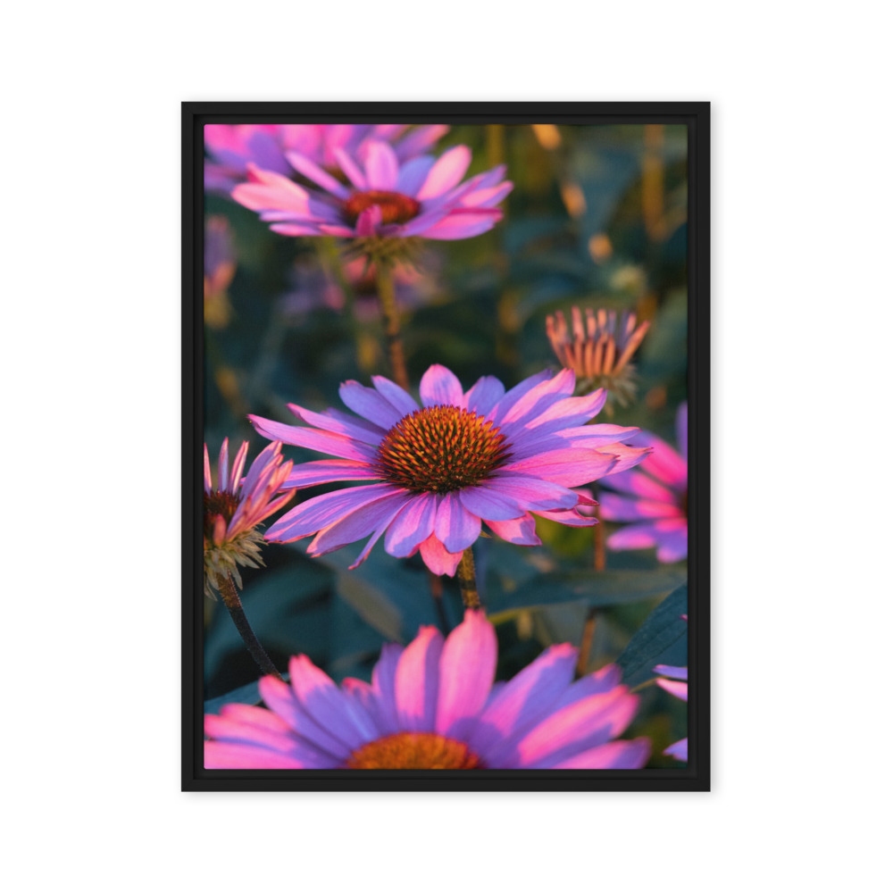 Framed canvas print in a floater frame
