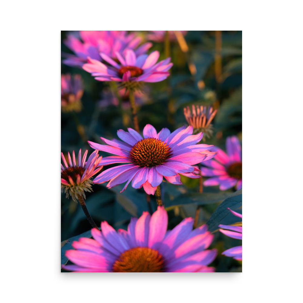 Matte paper poster print